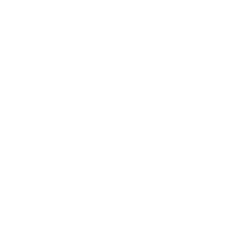 Shirting fabric